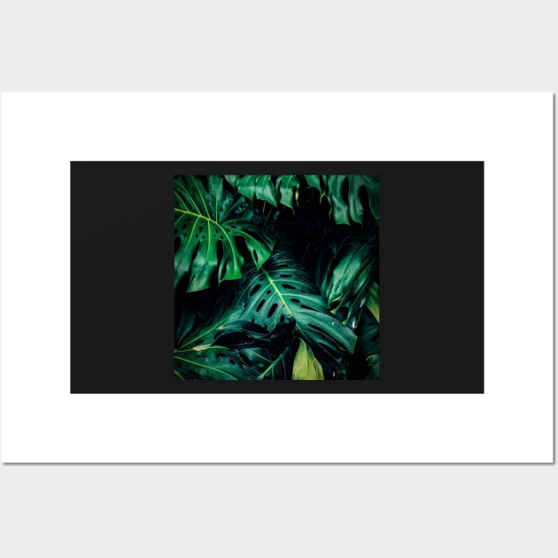 Big monstera leaves in a botanical garden Wall Art by gronly